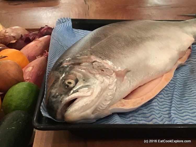 Norwegian Fjord Trout,