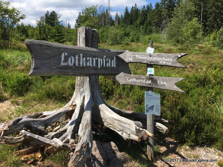Black Forest Lotharpfad
