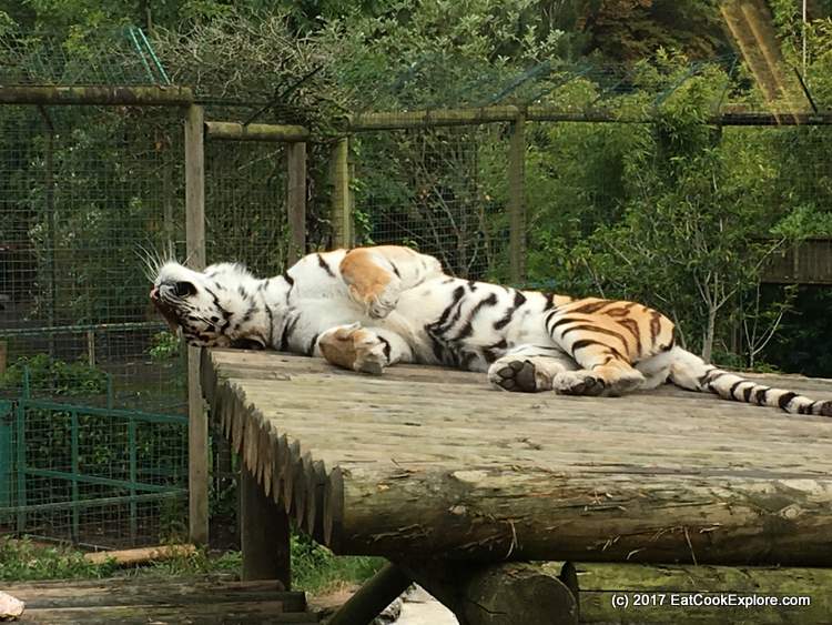 Paradise Wildlife Park 206