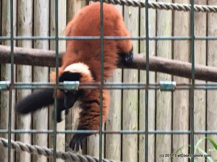 Paradise Wildlife Park 373
