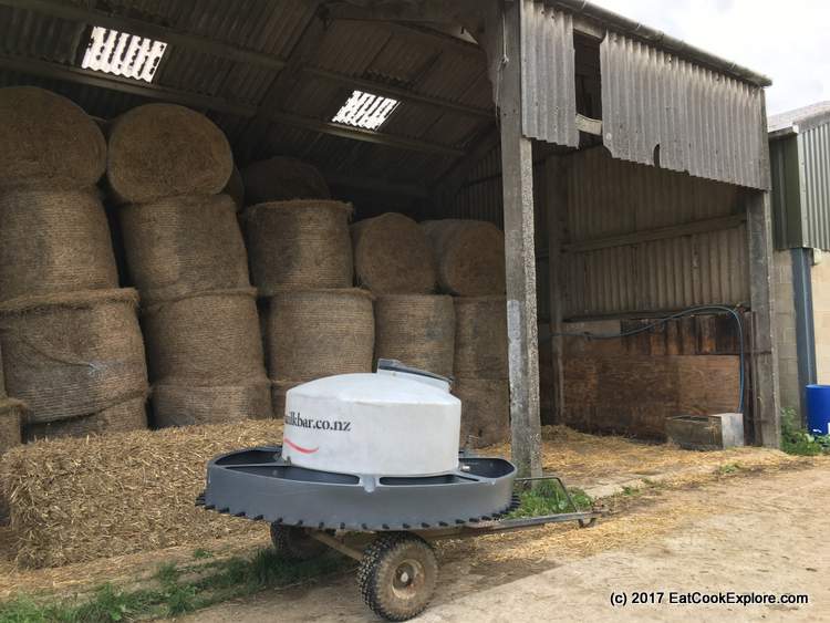 Hay for the winter