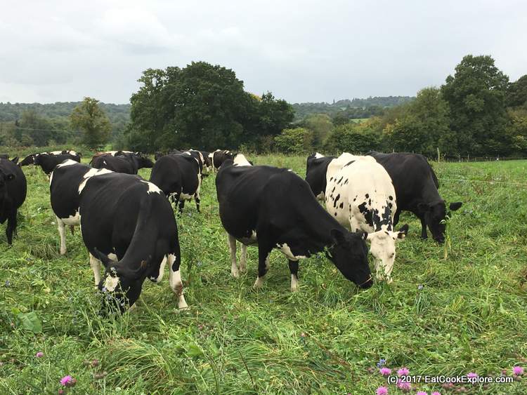 125 Organic Dairy Farm 140
