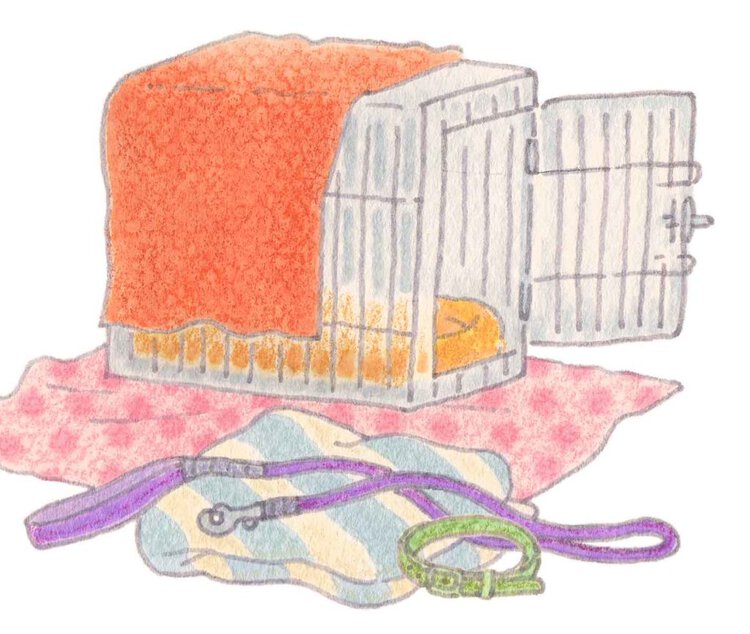 ペット用品のイラスト