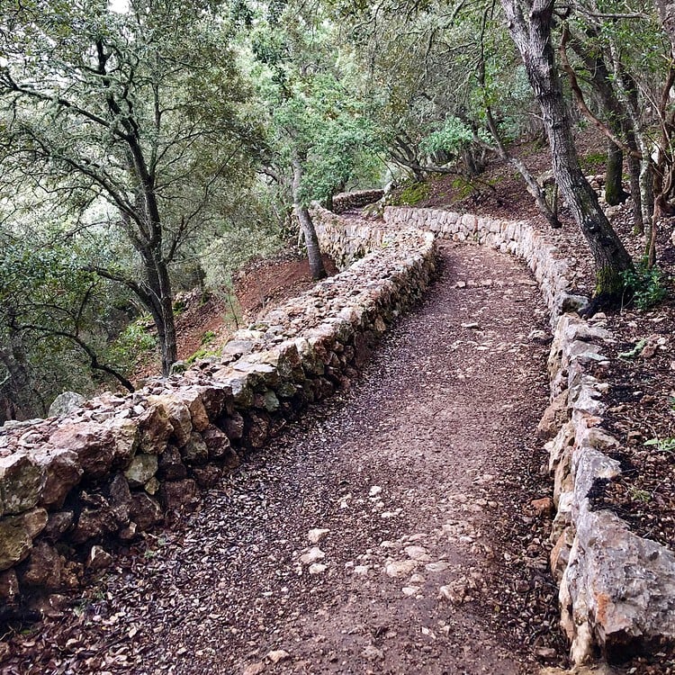 Camino auf Mallorcas GR 221 Auf dem Weg nach Esporles auf dem GR 221 passieren wir Trockensteinmauern