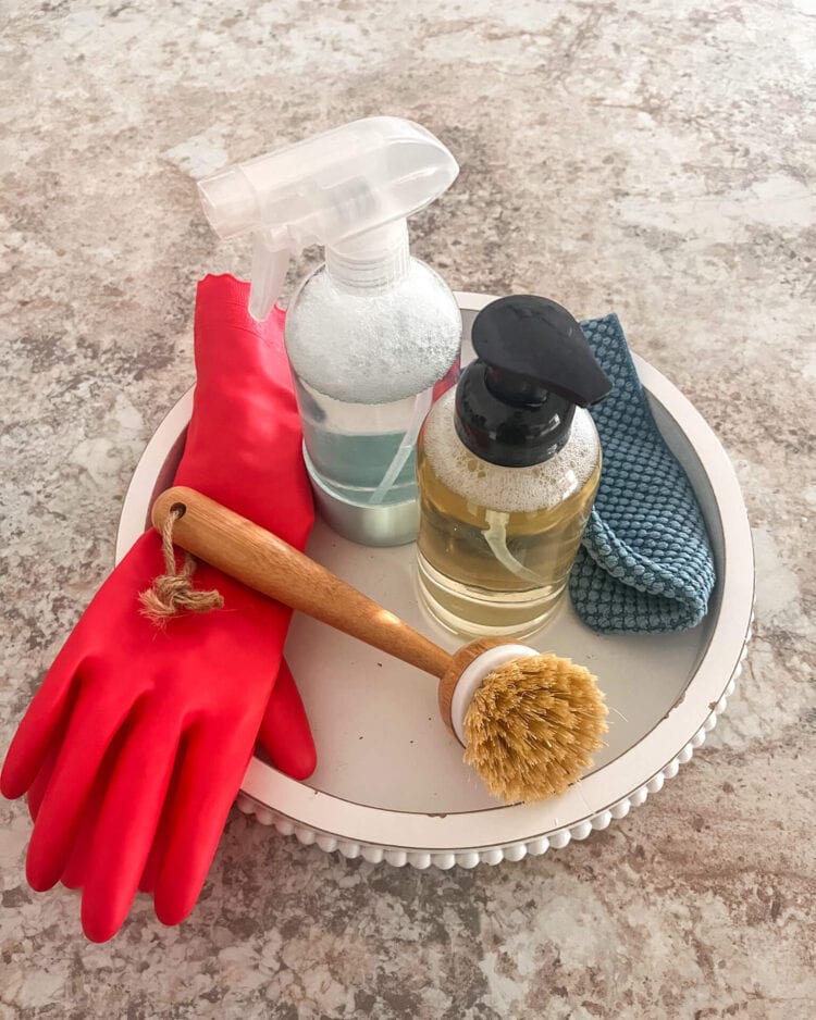 tray with hand soap, dish soap, and brush
