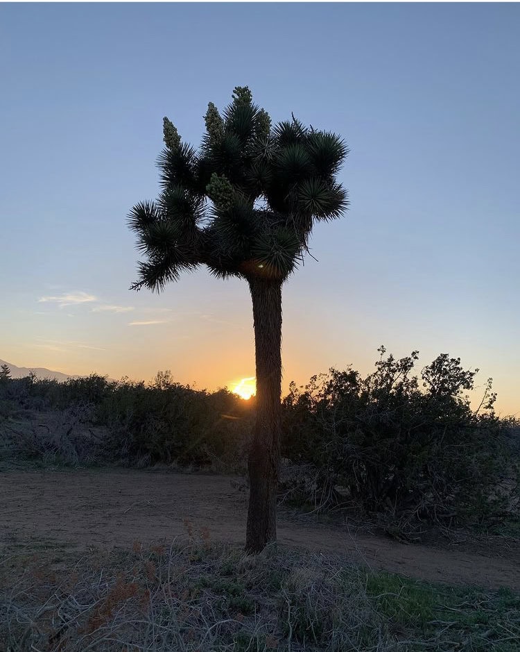 High Desert Intertribal Spring Celebration 