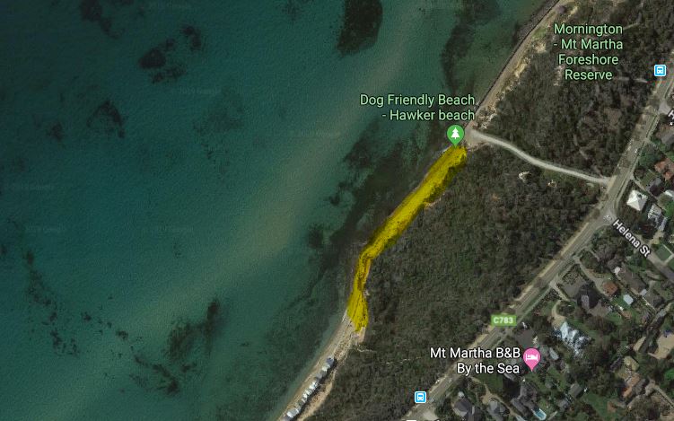 Hawker Beach - Best dog-friendly beaches in Melbourne and Mornington Peninsula