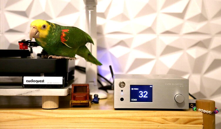 gold note is-10 review