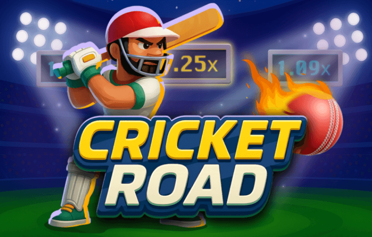 cricket road game