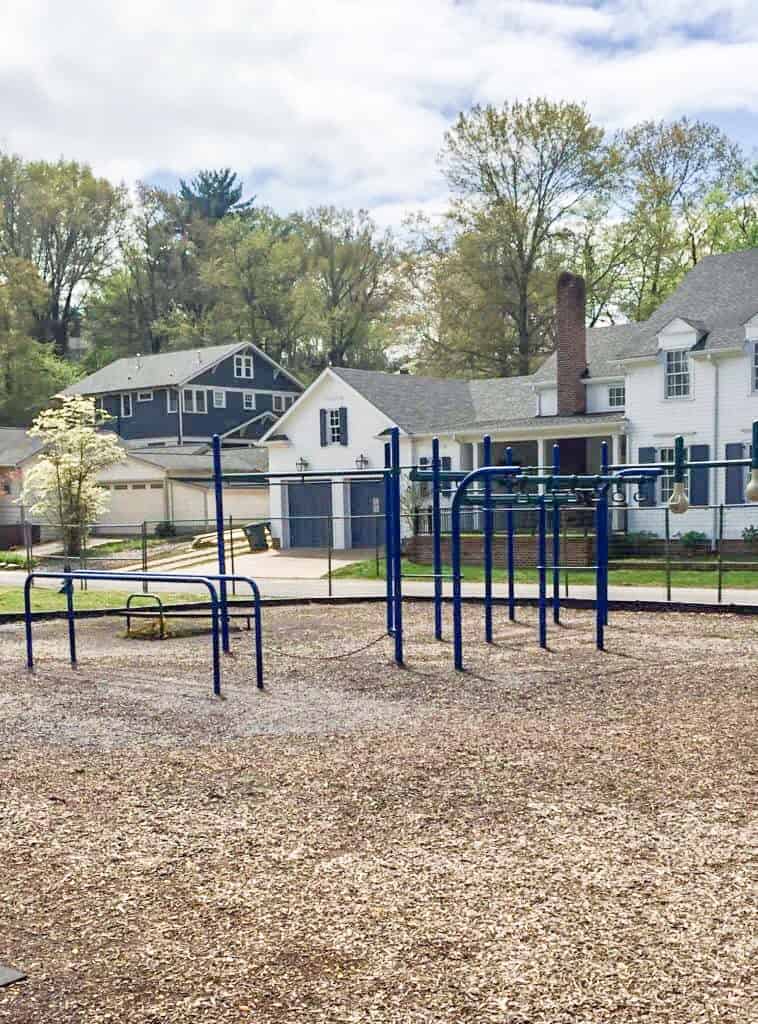 blue climbing features at park with houses in the background