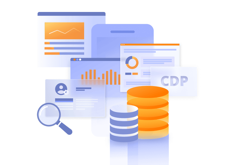 customer data platform