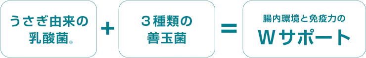 リニューアル