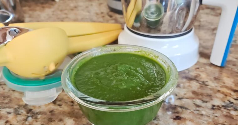 Mint Chutney