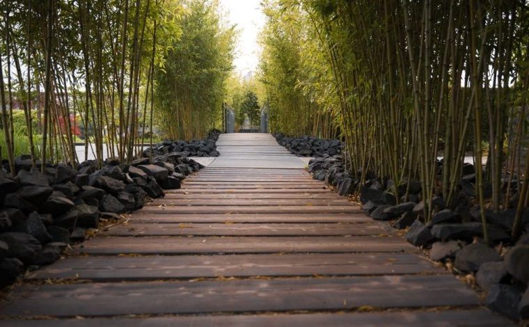 Il parquet in bamboo funziona bene solo nelle case giuste: Tranquillo sentiero di legno fiancheggiato da bambù in un…