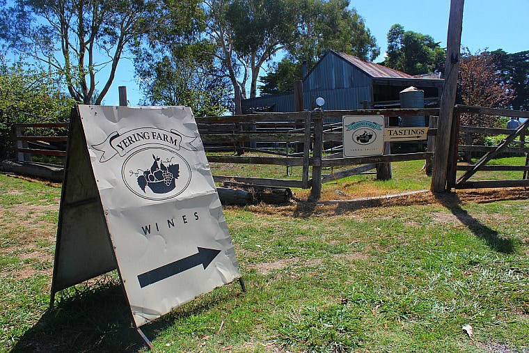 yarra valley wine tours