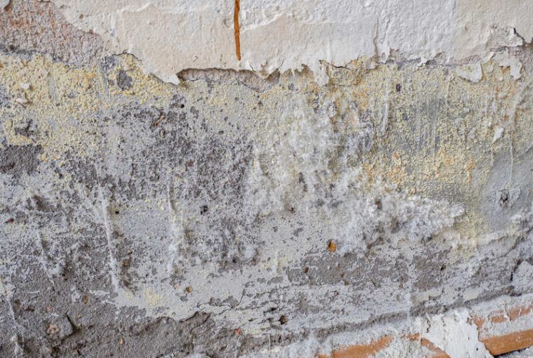 muro con efflorescenze saline