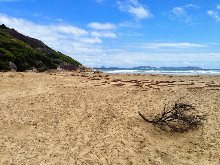 best day trips from melbourne, australia