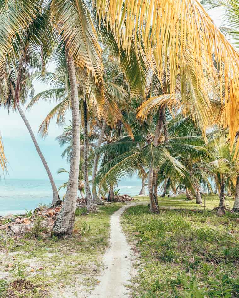 Beach path in the San Blas Islands aka Guna Yala, Panama