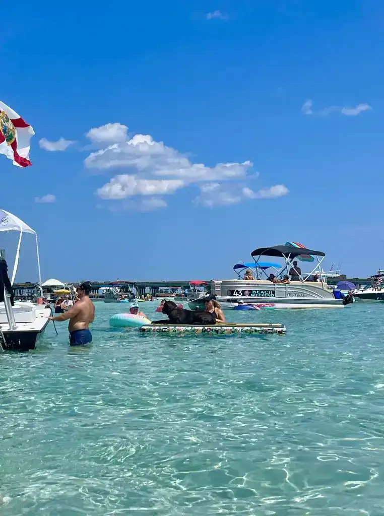 Dog on Raft at Crab Island Destin Florida