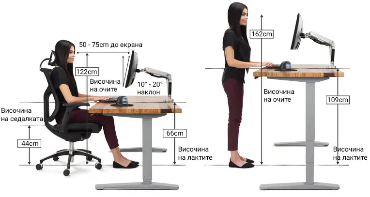 Изображение показващо правилната позиция пред бюро по време на работа с компютър в седнало и изправено положение - 1