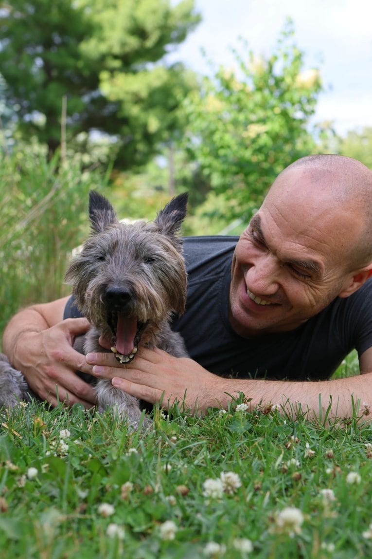 Día Internacional del Perro: por qué se celebra e ideas para su día