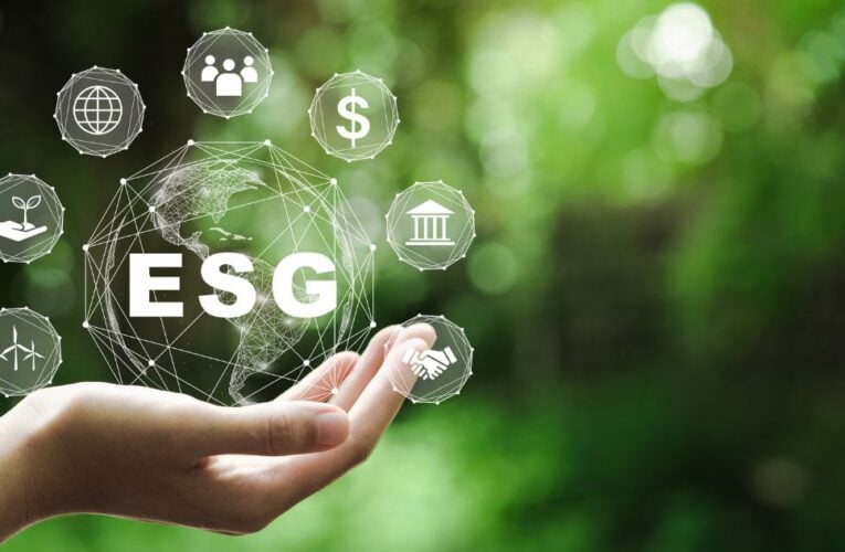 Sostenibilidad y ventas: cómo los criterios ESG influyen en la decisión de compra