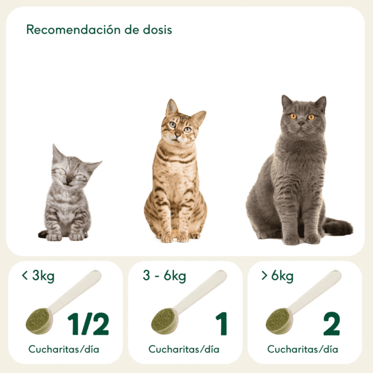 Suplementos naturales Wild Balance en polvo para perros y gatos