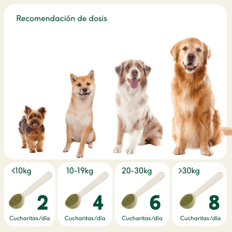 Suplementos naturales Wild Balance en polvo para perros y gatos