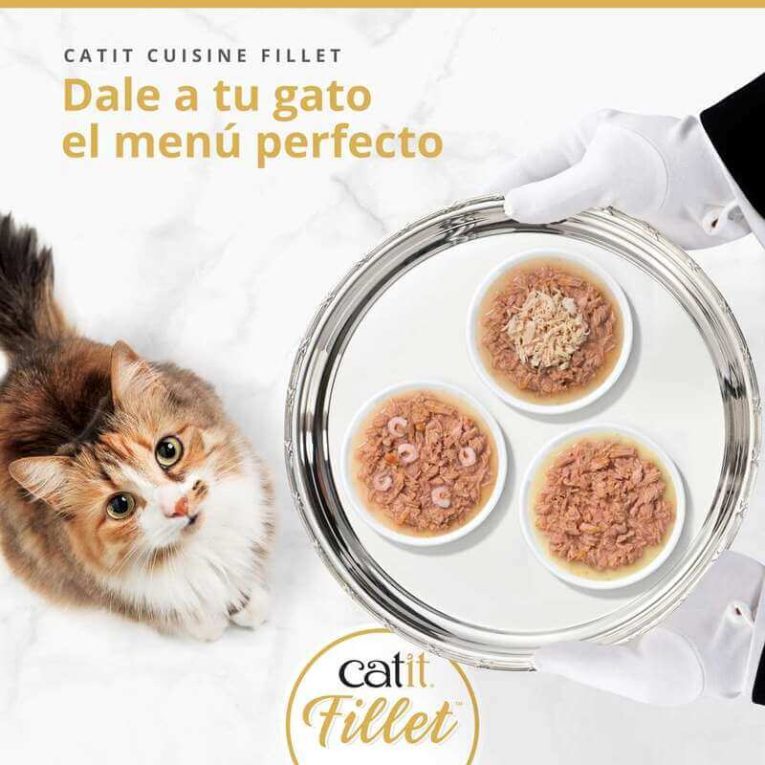 Cuisine Fillet Filetes de Atún con Gambas en Caldo para gato, detalle
