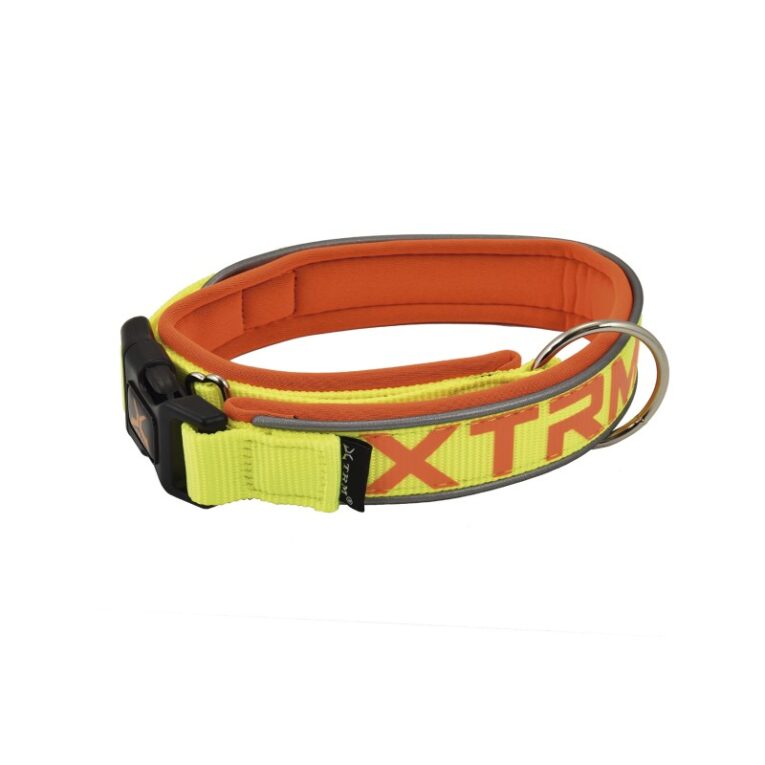 X-TRM Neon Flash Collar Amarillo Fluor para perro