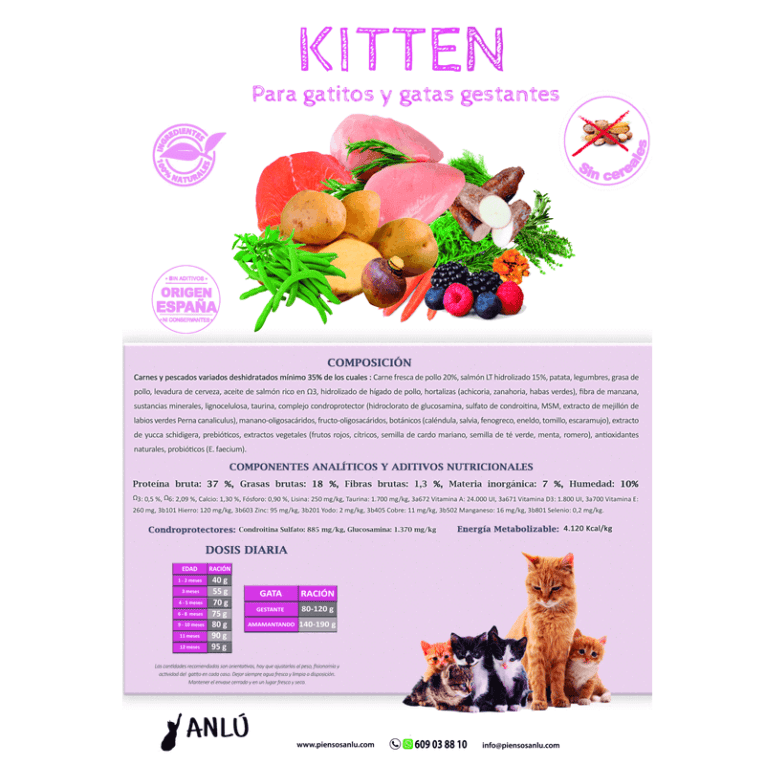 Beneficios y composición del pienso Anlú Kitten de salmón y pollo para gatitos