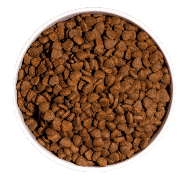 Just Grain Free Pollo para gato, detalle
