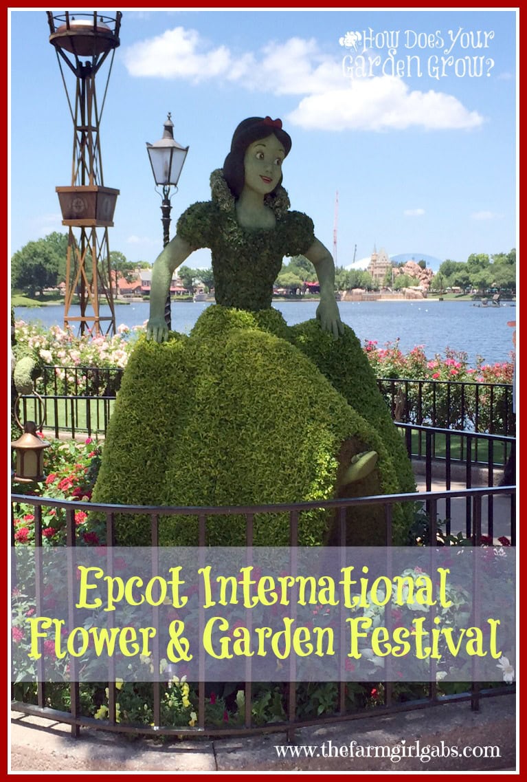 Reflections from the Epcot International Flower & Garden Festival in Walt Disney World. #DisneySide #DisneySMMC