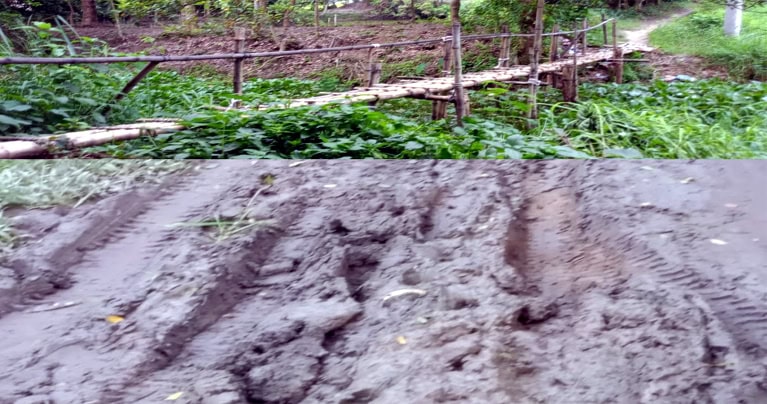 নবীনগরের শ্রীঘর উত্তর পাড়ার গুরুত্বপূর্ণ সড়কের বেহাল দশা: দুর্ভোগে হাজারো মানুষ