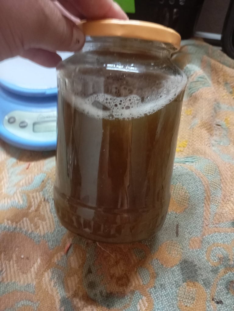 Настойка медвежий желчи