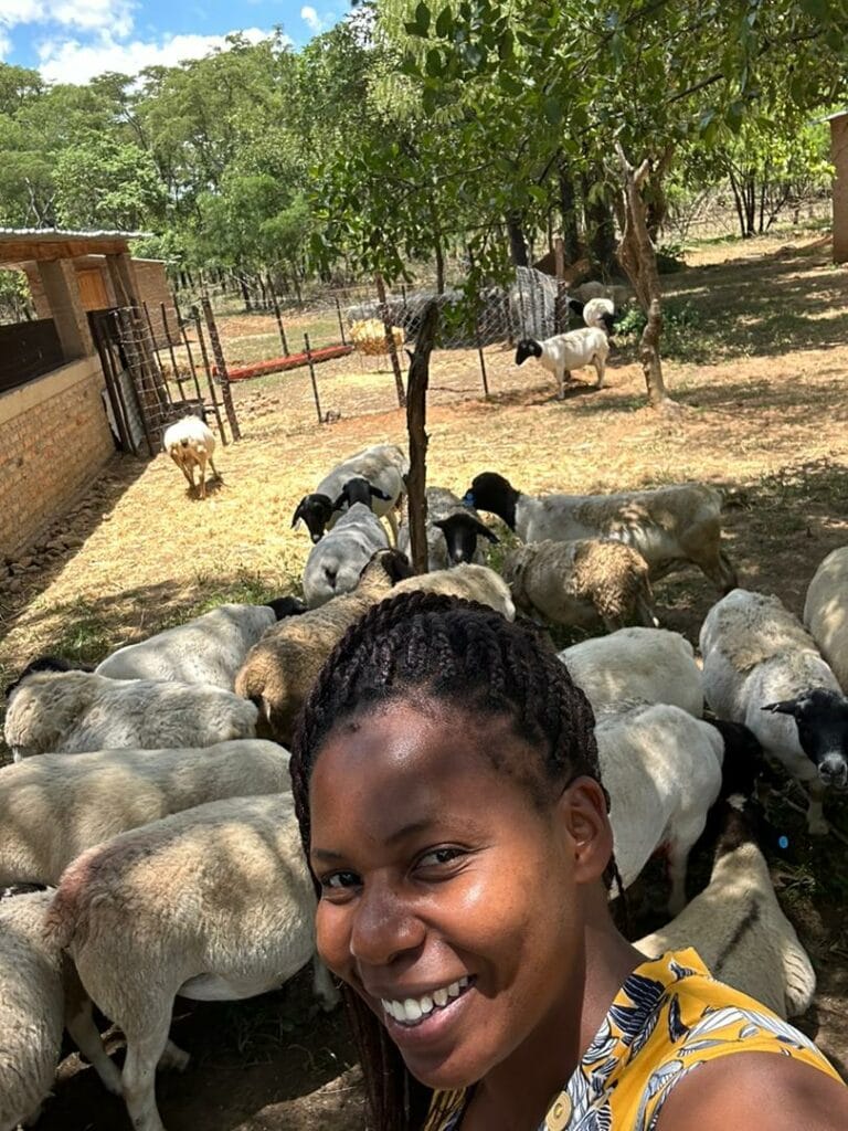 PHOTO-2024-10-11-16-34-34