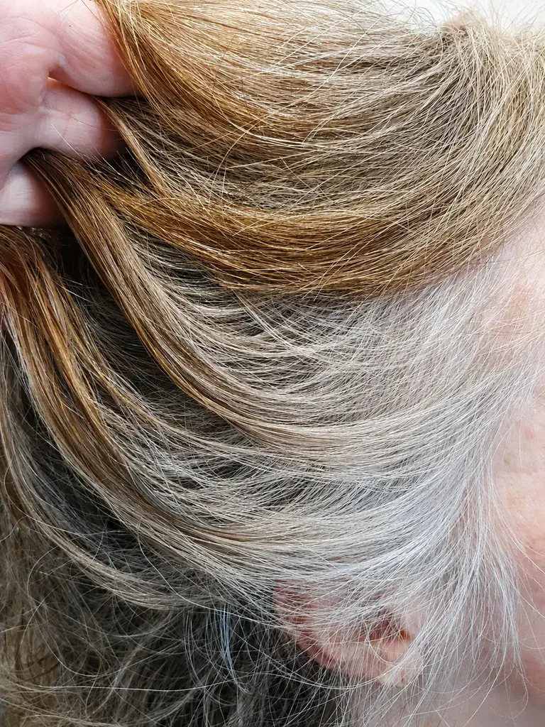 grey hair navigating the change