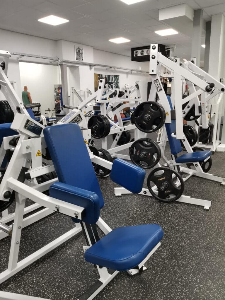 Hammerstrenght side traise