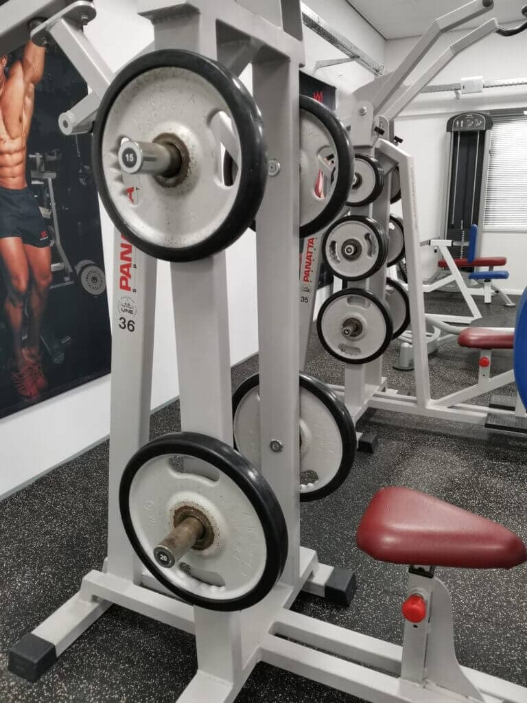 Panatta freeweight front pully