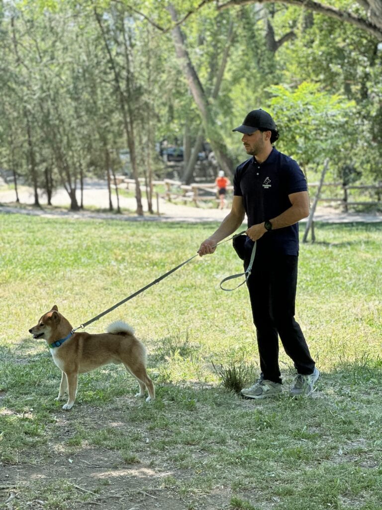 Séance de travail de la marche en laisse avec un éducateur canin à Aix-en-Provence