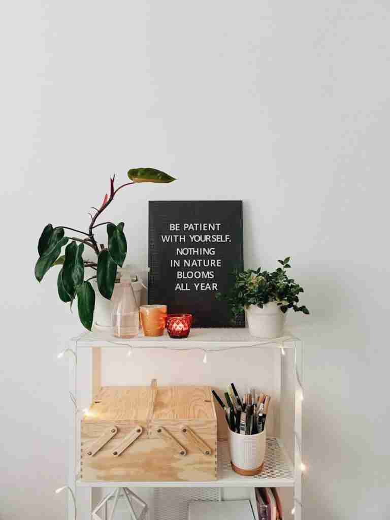 A white shelf with a small plant and a sign, a calm corner like one a somatic therapist in Farmington Hills, MI creates
