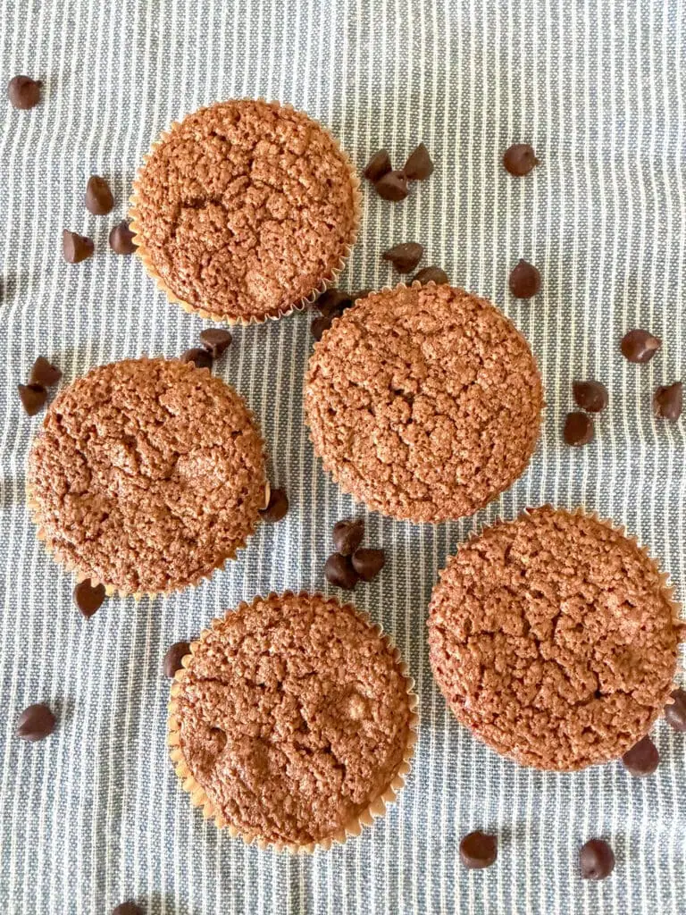 Five chocolate Zucchini muffins sideways  on a blue and white striped cloth napkin with chocolate chips sprinkled around. 