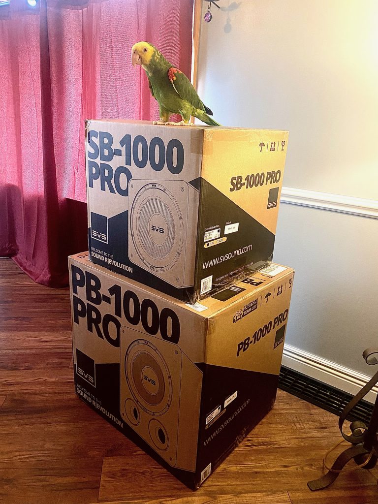 svs sb-1000 pro