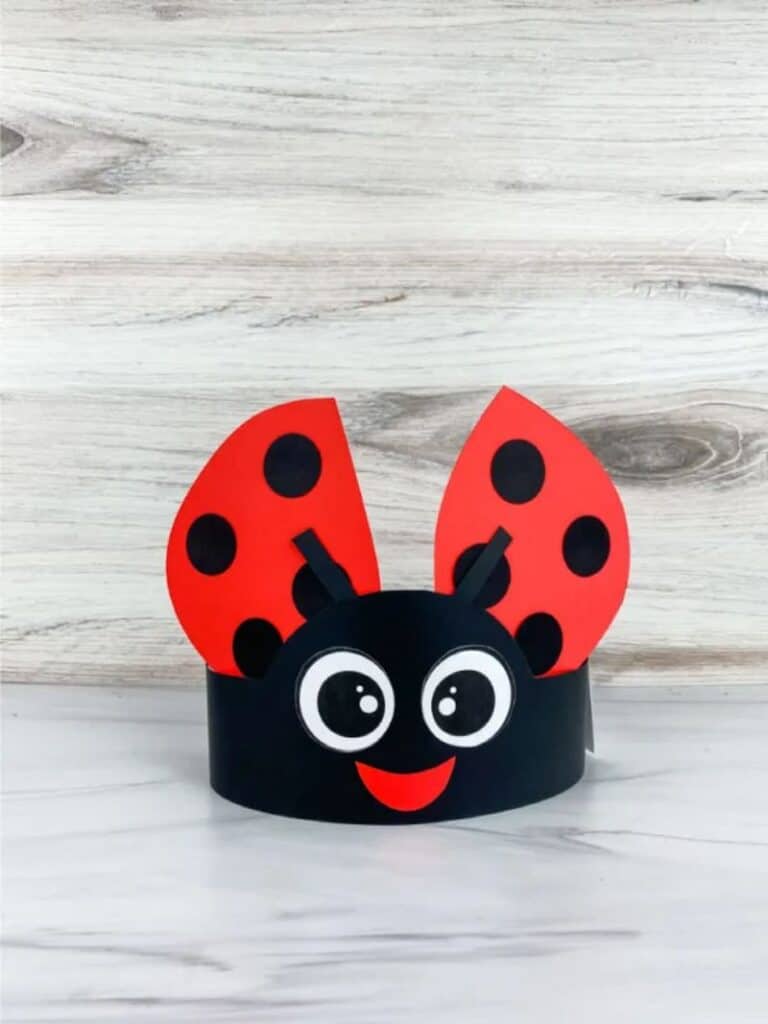 ladybug craft