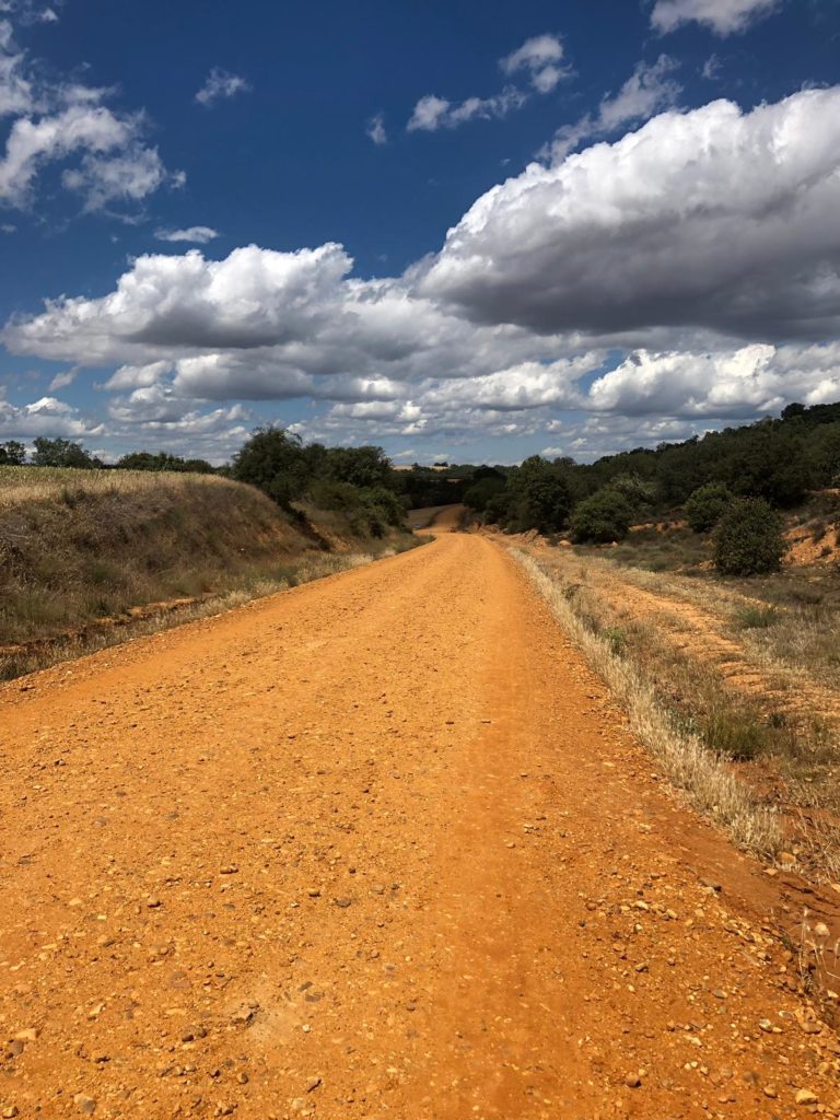 eindruecke der Vegetationsstufen