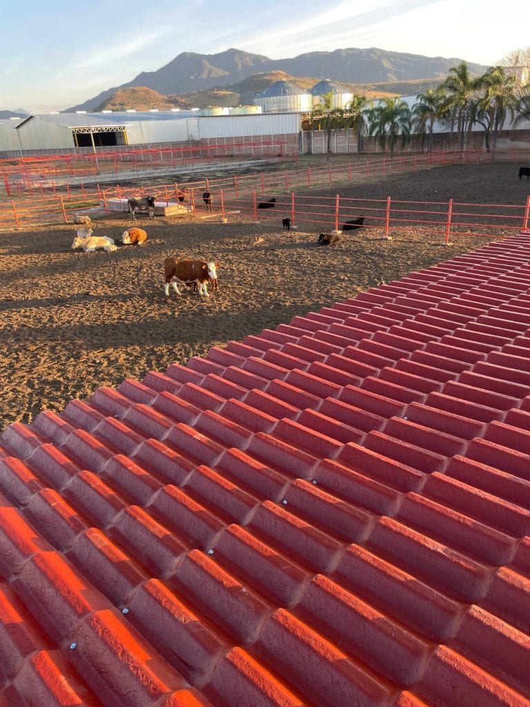 Plastitejas en Guadalajara