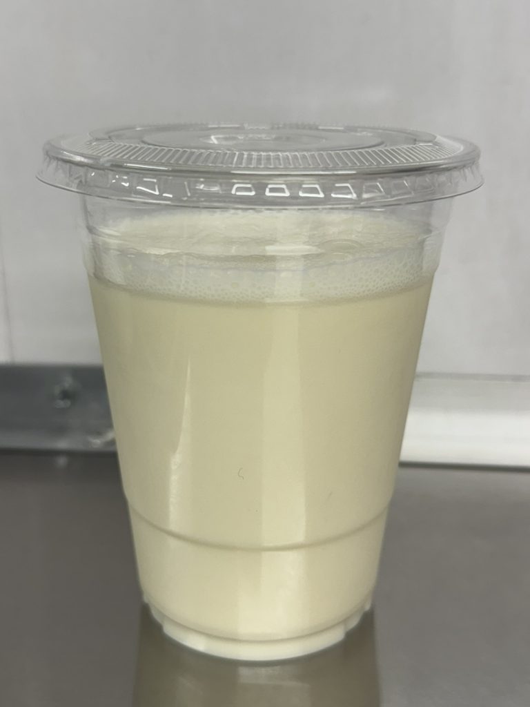 Plain Lassi