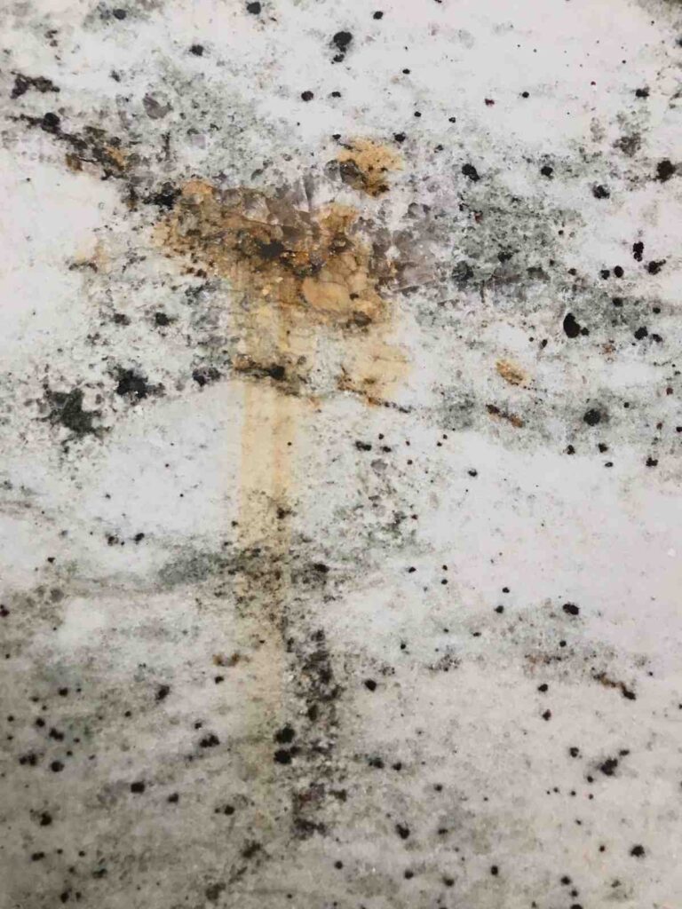 Mold Testing Jersey City NJ, Mold Removal Jersey City, Mold Remediation in Jersey City NJ