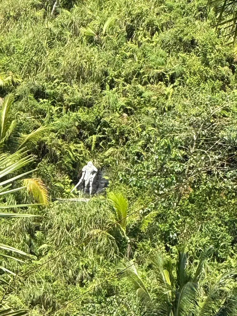 A statue placed along the zip line route. There are several of these throughout the area.