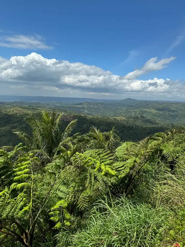 A scenic picture looking down and out over the wide range of mountains and valleys. This picture doesn't do it justice!